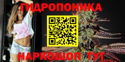 mdma Канаш