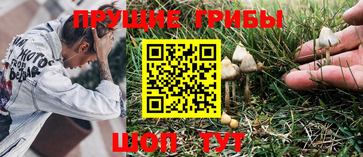 Псилоцибиновые грибы Psilocybe  Вход с VPN  Псилоцибиновые грибы MAGIC MUSHROOMS  Балашов 