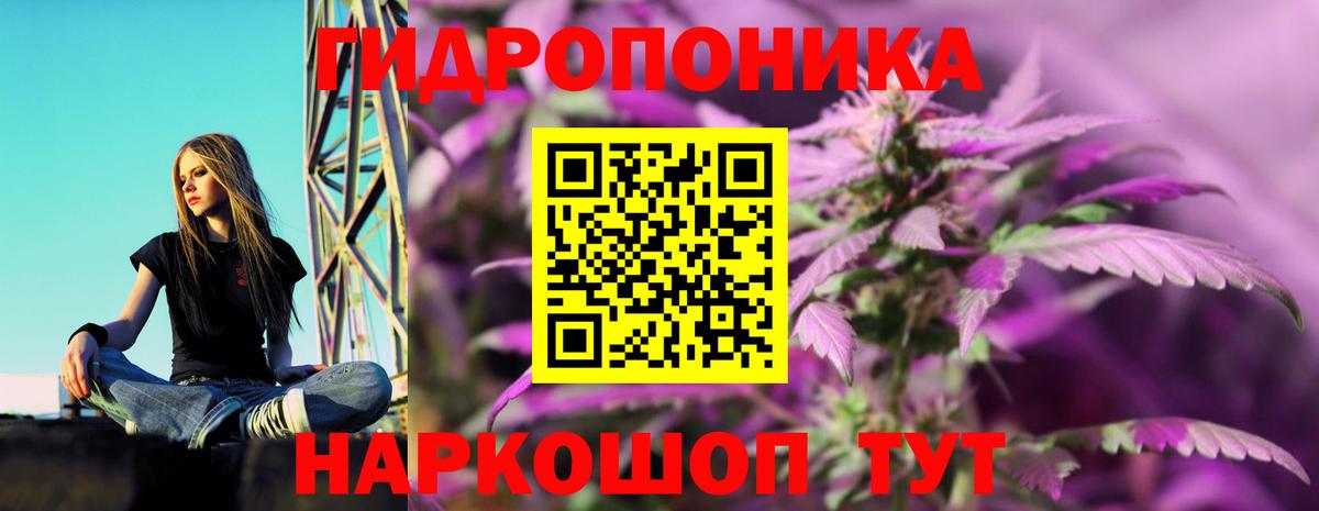 Балашов  Конопля White Widow  Конопля VHQ  Канабис планчик  Вход с VPN 